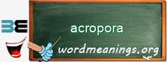 WordMeaning blackboard for acropora